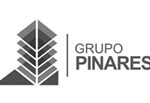 Grupo Pinares 2